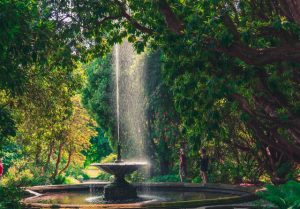 Fountain in the Forest