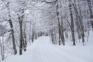 Ski Hike